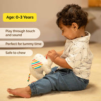 Soft Plush Baby Rattle & Ball - Organic Elephant Rattle for Babies (0 Months+)