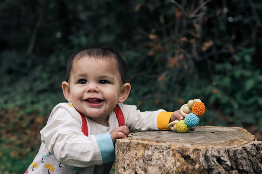 How to introduce toys to your 6-month old?