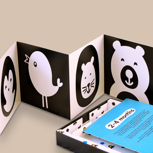 High Contrast Black & White Flash Cards for Babies (0 Months+)