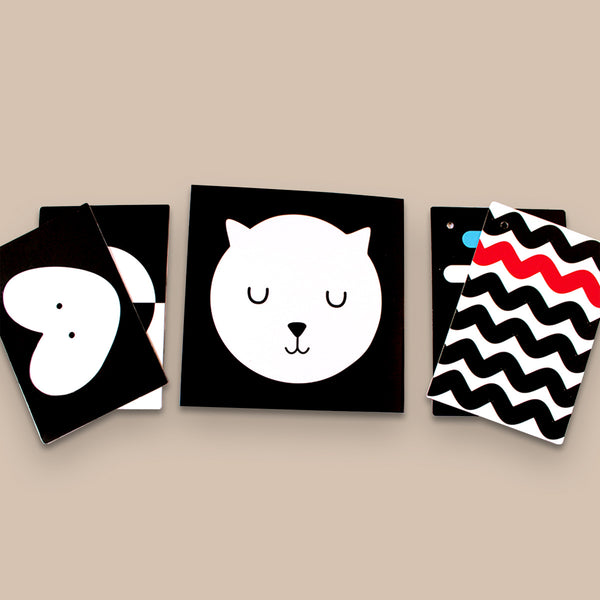 High Contrast Black & White Flash Cards for Babies (0 Months+)