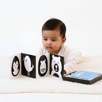 High Contrast Black & White Flash Cards for Babies (0 Months+)