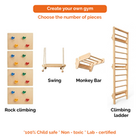 Modular Wooden Indoor Play Gym for Kids – Wall Mounted (3+ Years)