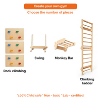 Modular Wooden Indoor Play Gym for Kids – Wall Mounted (3+ Years)