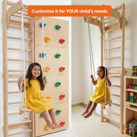 Modular Wooden Indoor Play Gym for Kids – Wall Mounted (3+ Years)