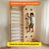 Modular Wooden Indoor Play Gym for Kids – Wall Mounted (3+ Years)