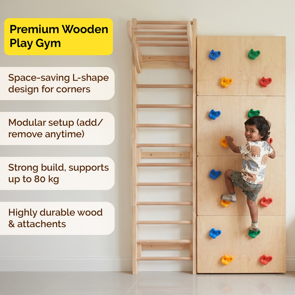 Modular Wooden Indoor Play Gym for Kids – Wall Mounted (3+ Years)