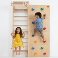Modular Wooden Indoor Play Gym for Kids – Wall Mounted (3+ Years)