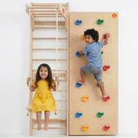 Modular Wooden Indoor Play Gym for Kids – Wall Mounted (3+ Years)