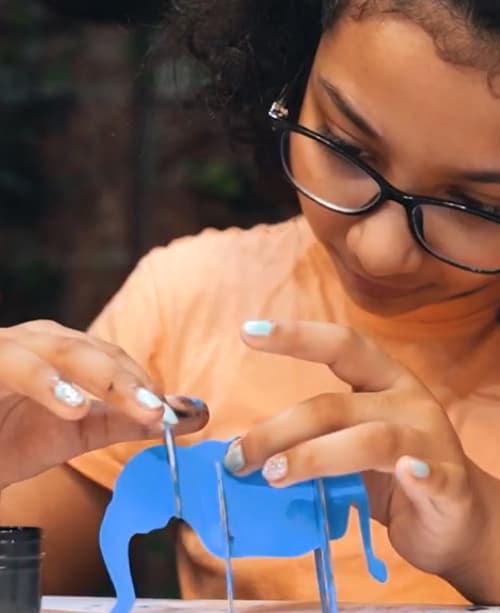 Wild India Creative Box -  DIY Art Kits For Kids